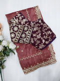 Tissue Saree with beautiful embroidery & sequins work (RO)