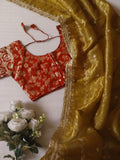 Tissue Saree with beautiful embroidery & sequins work (RO)