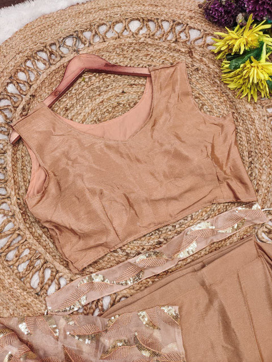 Chinnon Silk Saree with Full-Stitched Blouse & Organza Koti Jacket (RO)