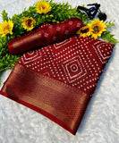 Bandhani Soft Dola KESH574 193