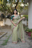 Banarasi Crush Saree with Heavy Sequin RO9705