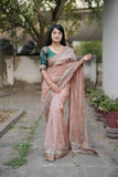 Banarasi Crush Saree with Heavy Sequin RO9705
