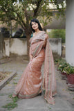 Banarasi Crush Saree with Heavy Sequin RO9705