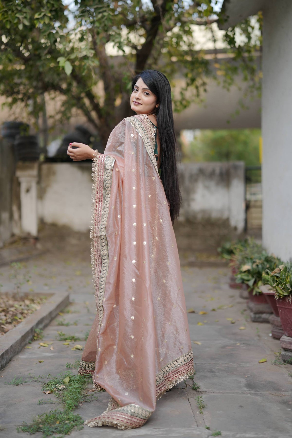 Banarasi Crush Saree with Heavy Sequin RO9705