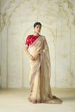 Soft Twill Net Bandhej Beads Embroidered Saree (RO)