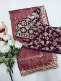 Tissue Saree with beautiful embroidery & sequins work (RO)