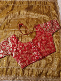 Tissue Saree with beautiful embroidery & sequins work (RO)