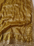 Tissue Saree with beautiful embroidery & sequins work (RO)