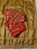 Tissue Saree with beautiful embroidery & sequins work (RO)