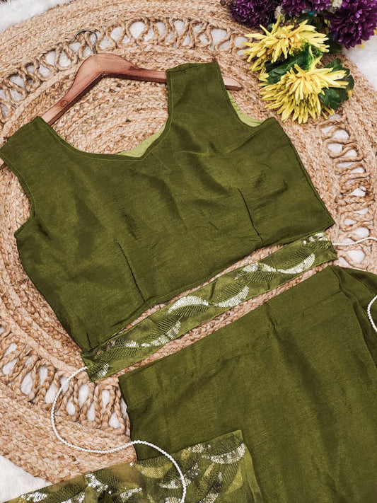 Chinnon Silk Saree with Full-Stitched Blouse & Organza Koti Jacket (RO)