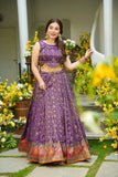 Designer Jimmy Organza Lehenga Set with Fully Stitched Blouse (RO)