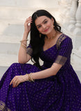 Elegant Soft Silk Gown with Zari Weaving and Figure Border (RO)