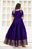 Elegant Soft Silk Gown with Zari Weaving and Figure Border (RO)