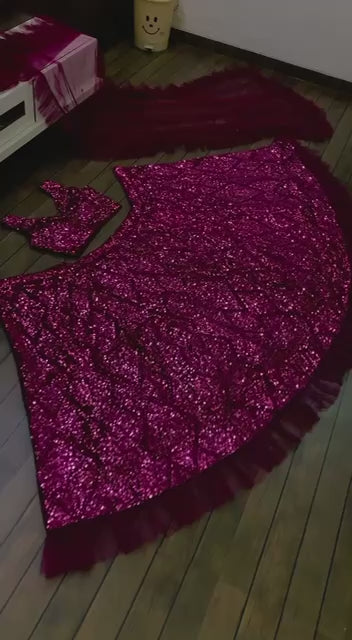 Velvet Sequence Lehenga Set RO9788